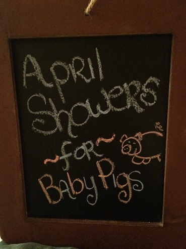 Kelly Pitt Shower Sign